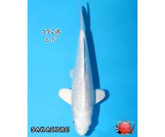 Ginrin Platinum 1226