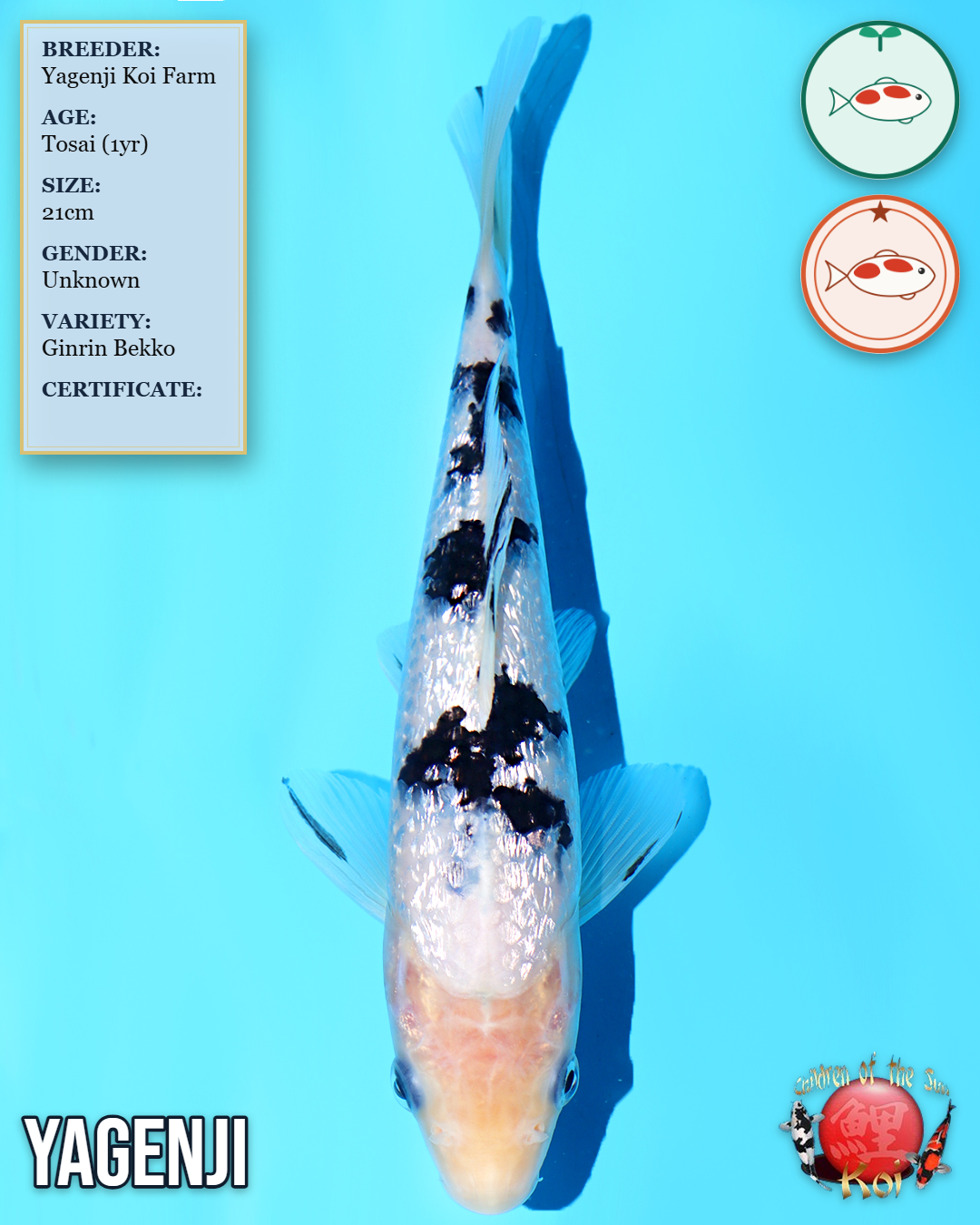 Ginrin Bekko 7138