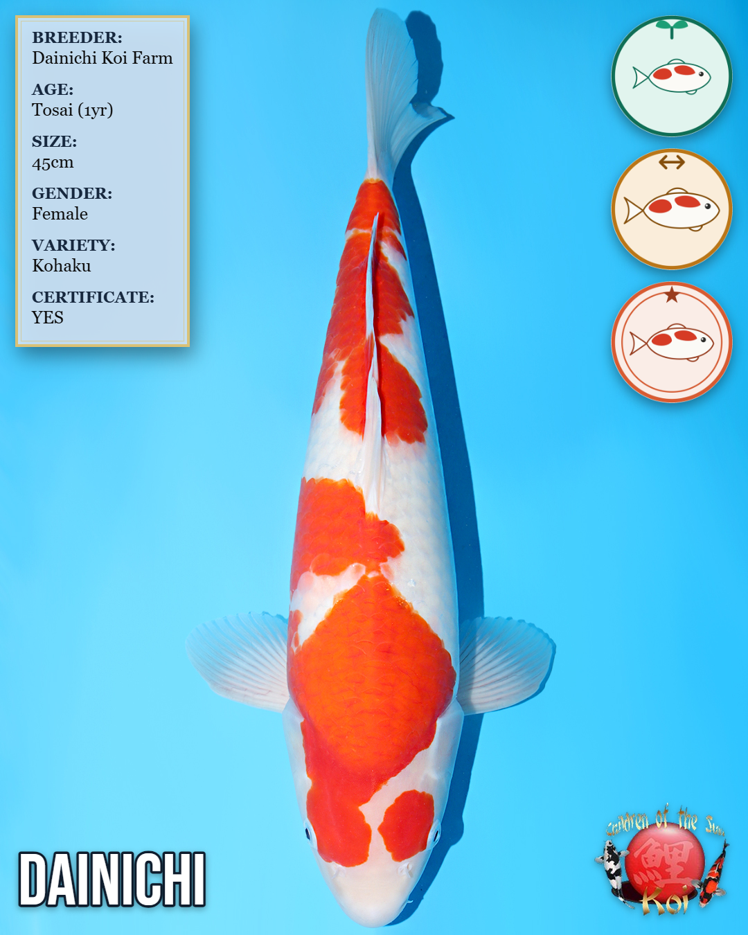 Dainichi Kohaku HQ827